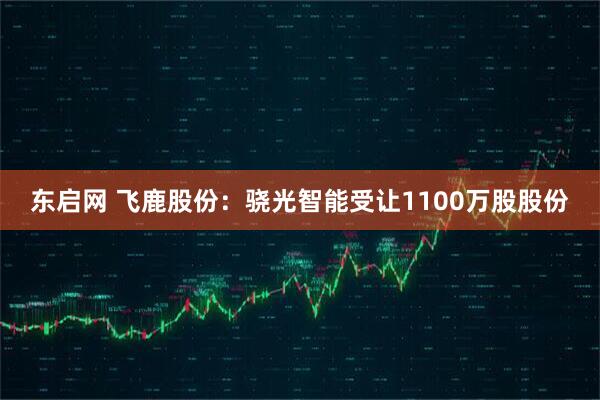 东启网 飞鹿股份：骁光智能受让1100万股股份