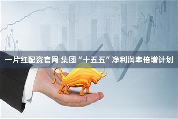 一片红配资官网 集团“十五五”净利润率倍增计划